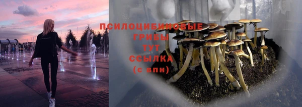 ПСИЛОЦИБИНОВЫЕ ГРИБЫ Алзамай