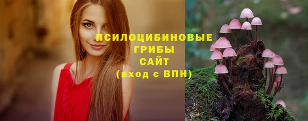 ПСИЛОЦИБИНОВЫЕ ГРИБЫ Алзамай