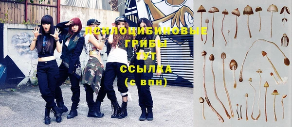 шишки Алексеевка