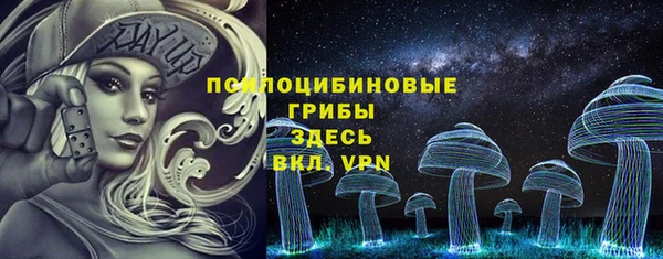 шишки Алексеевка