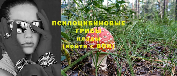 шишки Алексеевка