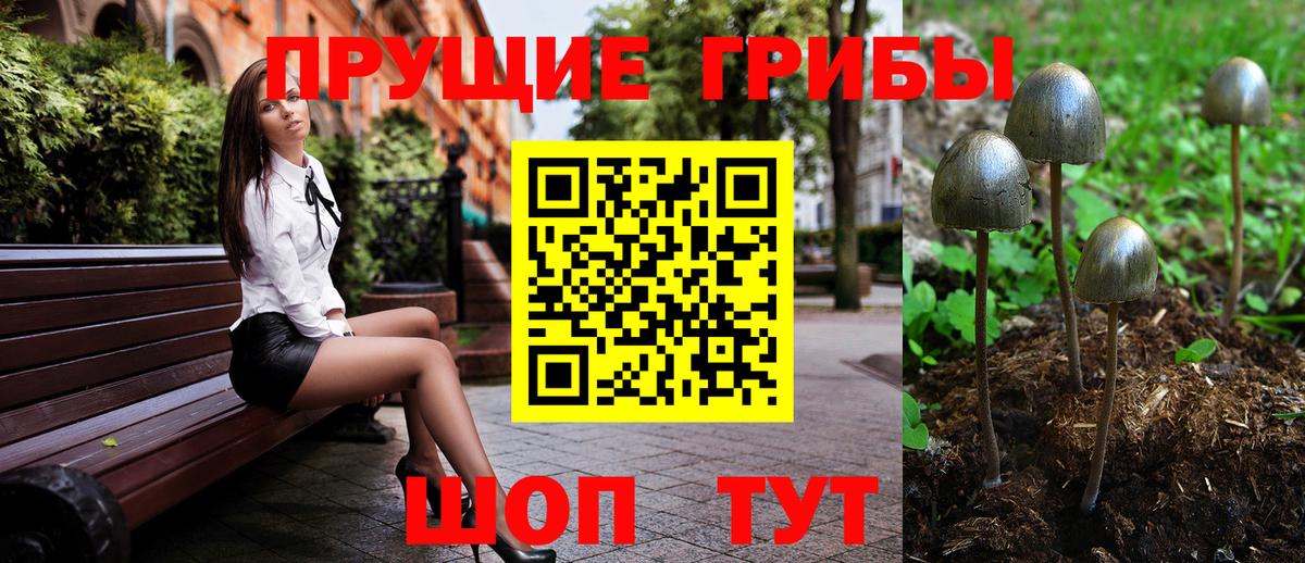 Псилоцибиновые грибы мицелий  Вход с VPN  Псилоцибиновые грибы MAGIC MUSHROOMS  Тихвин 